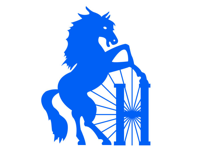 Havre Blue Ponies